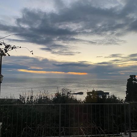 Paradiso Apartments - Liman1 Ulcinj Eksteriør billede